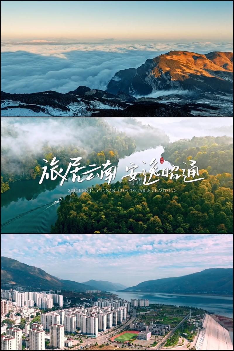 品牌策划的力量：以创新思维塑造企业形象